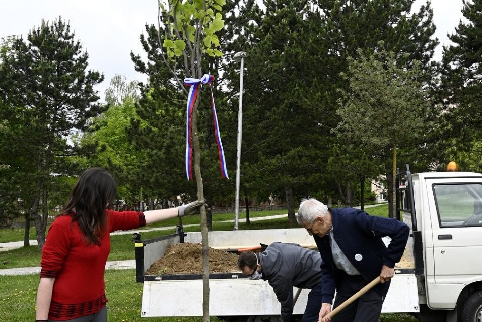 Strom vďaky a nádeje má pripomínať dodržiavanie protipandemických pravidiel