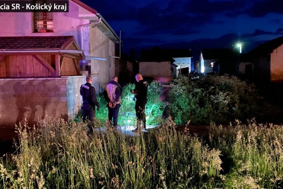 Rušná noc v Smižanoch: Policajti naháňali útočníka v poli!
