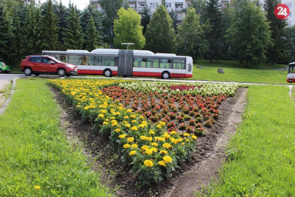V OBRAZOCH: Bystricu rozžiarili letné kvetinové záhony