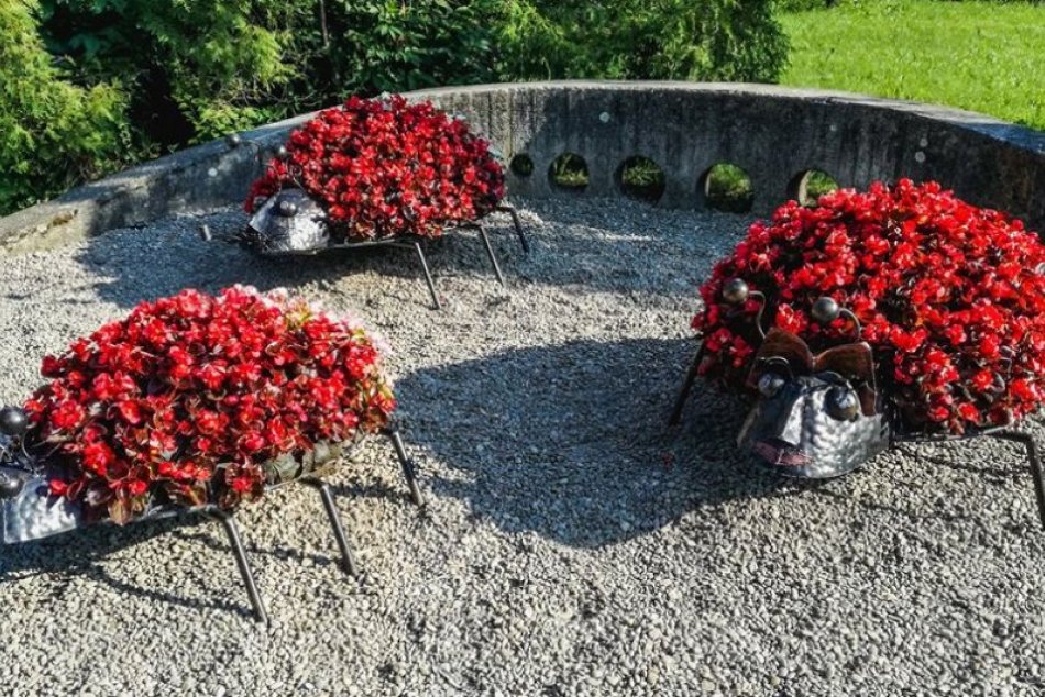 V OBRAZOCH: Uhlisko skrášľujú kvetinové lienky