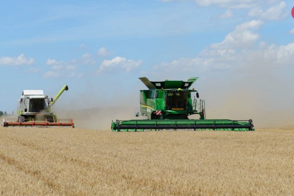 Žatva v Palárikove