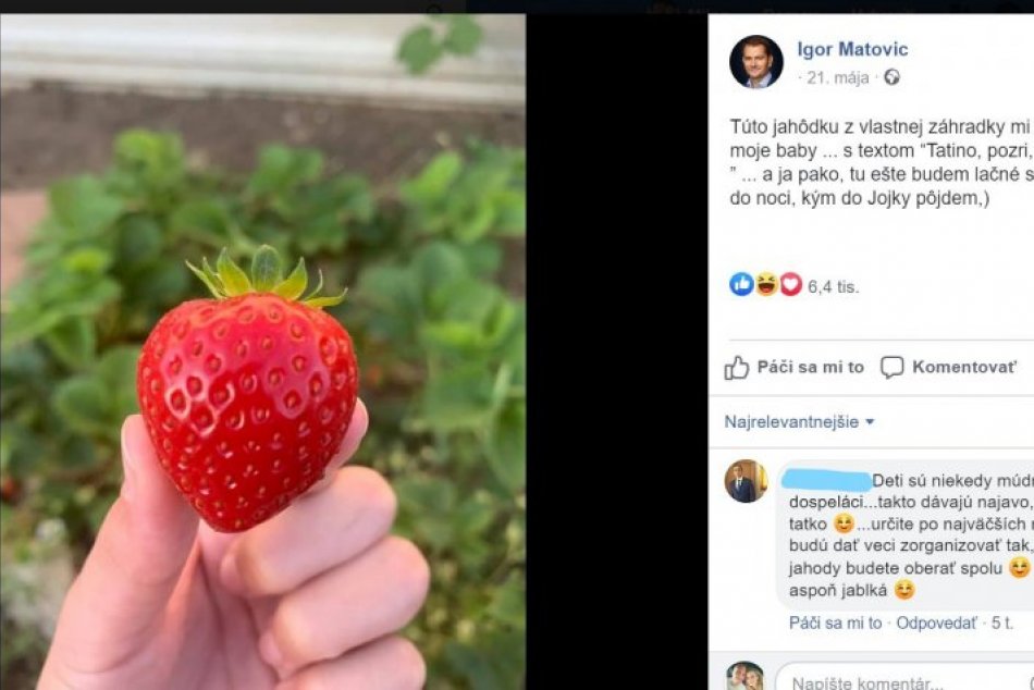 Matovič a jeho výroky na facebooku