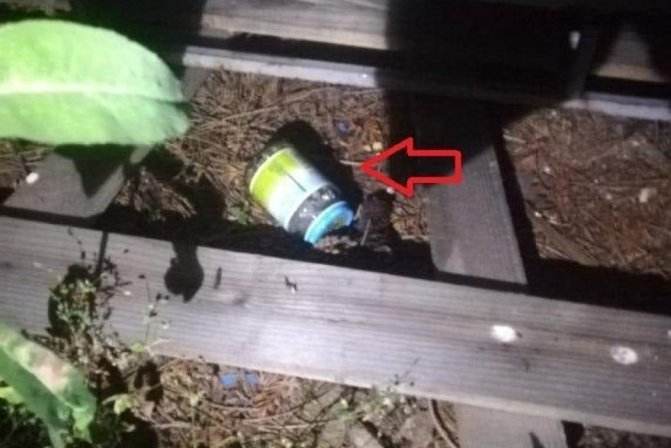 Toto sa Martin snažil odhodiť, keď ho chytili policajti