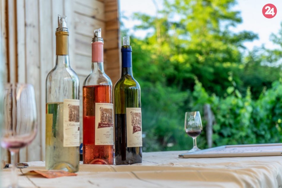 Račianska lokálka, vinohrady