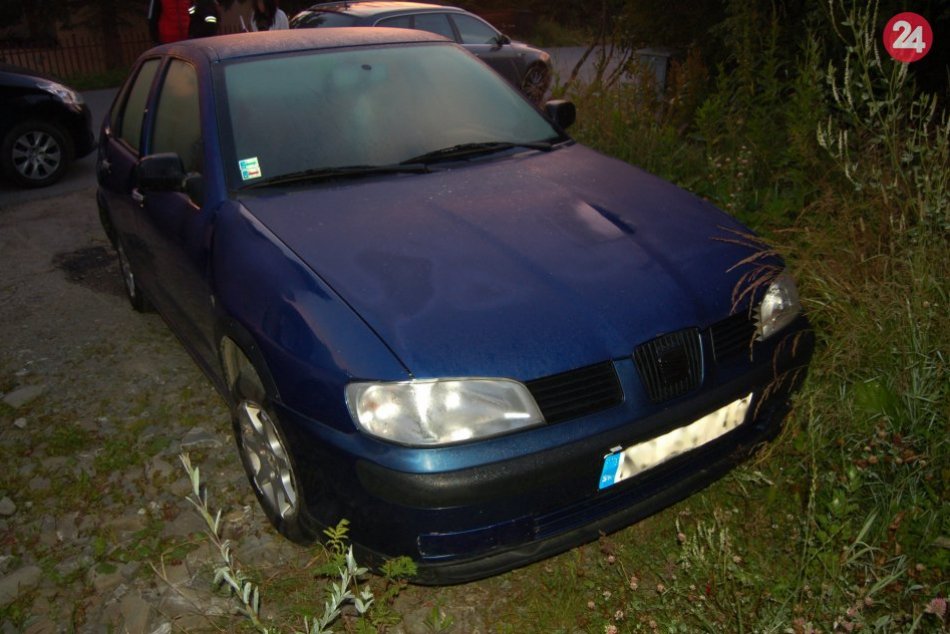 Polícia zo Žiliny klepla po prstoch drogovej dílerke z Námestova