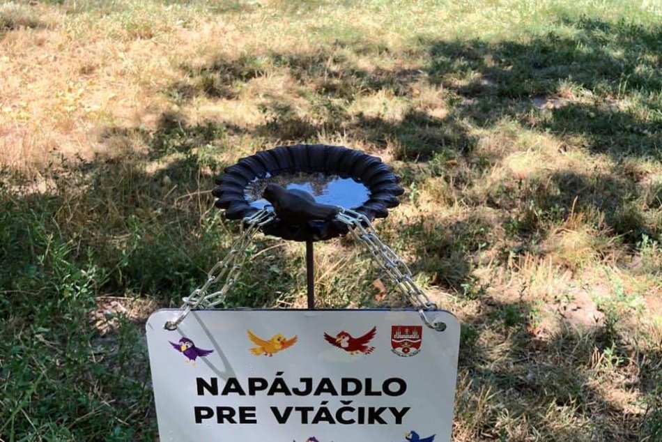 Napájadlo pre zvieratá