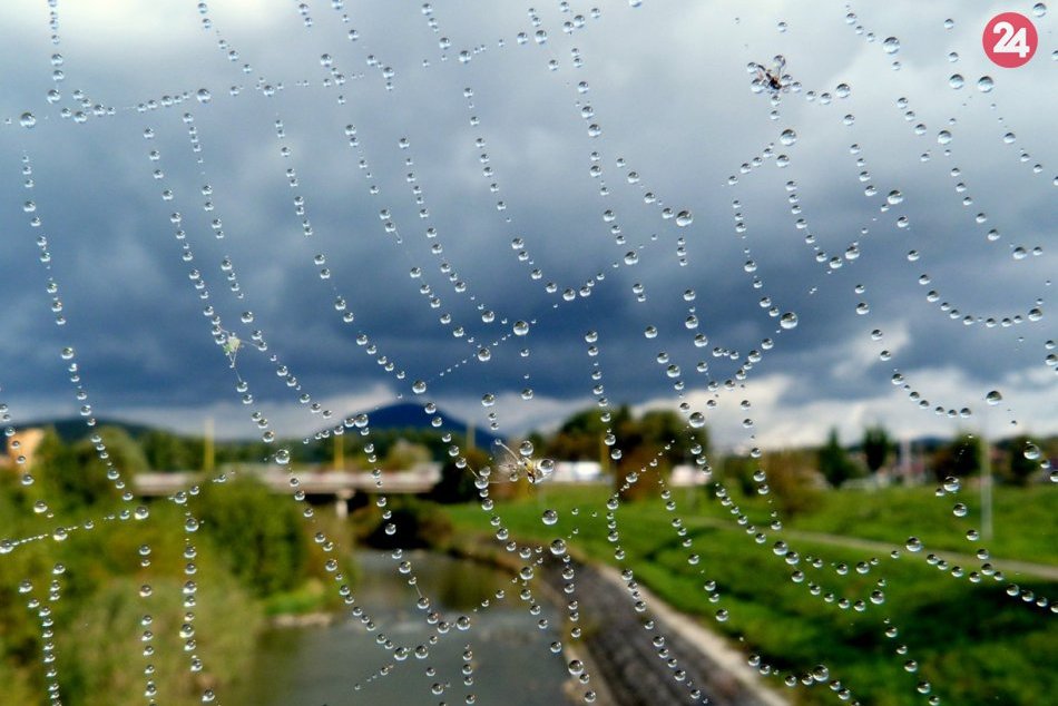 Obrazom: Fotografie Prešovčanky Marty vás chytia za srdce