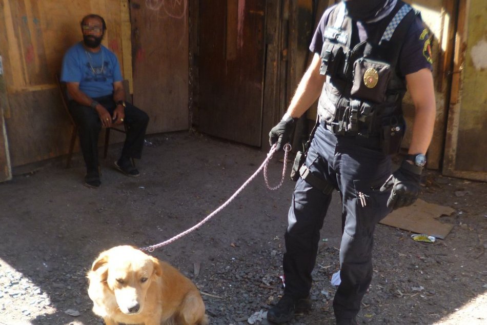 V OBRAZOCH: Veľký odchyt túlavých psov pod Pustým hradom