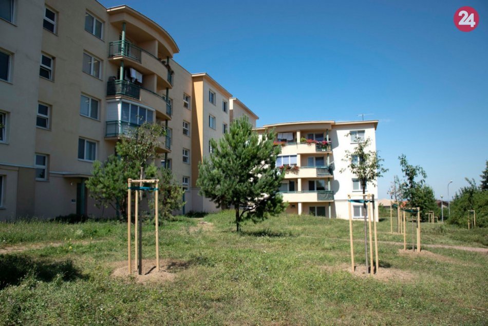 Výsadba vo vnútrobloku na Tokajskej ulici sídliska Diely