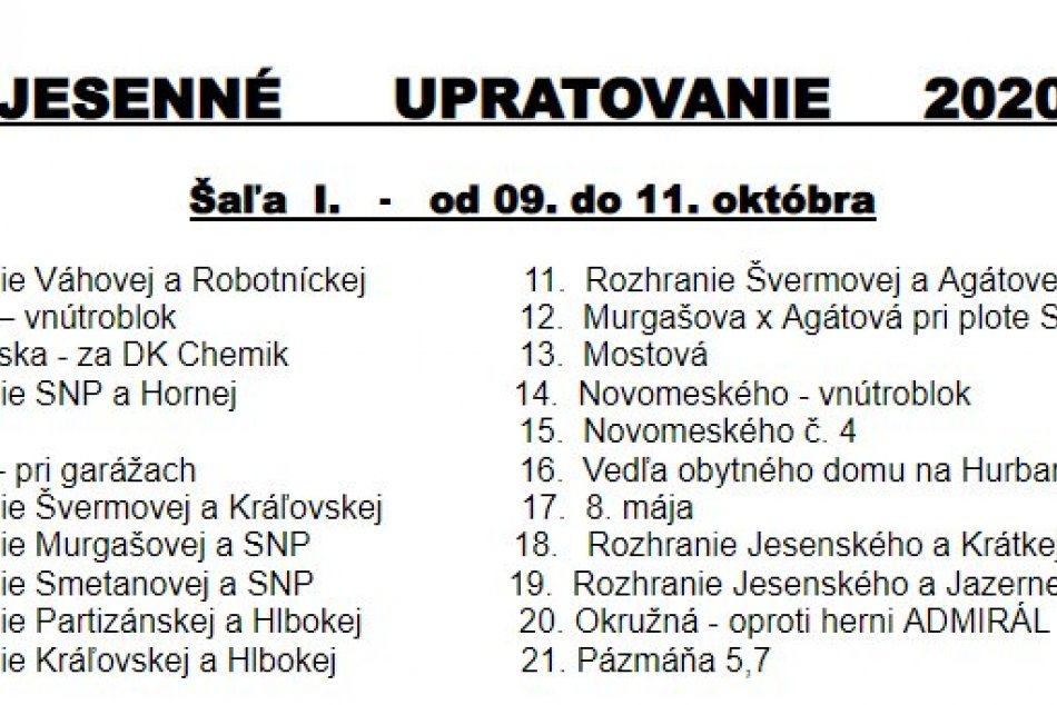Jesenné upratovanie - Šaľa 2020