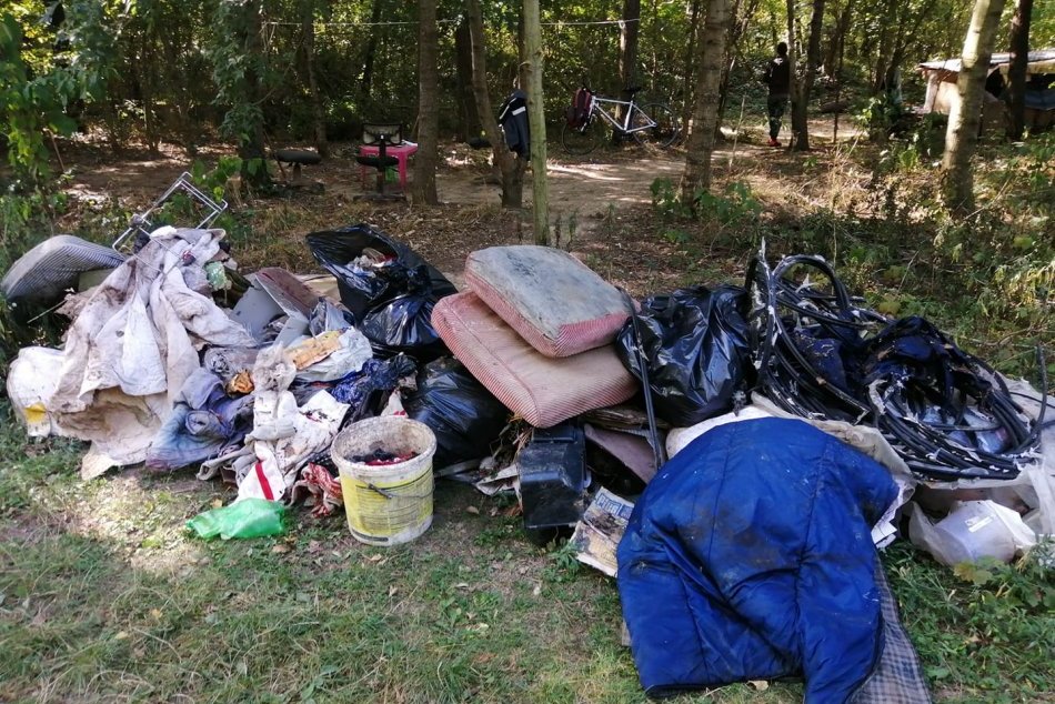 Svetový čistiaci deň v Šali