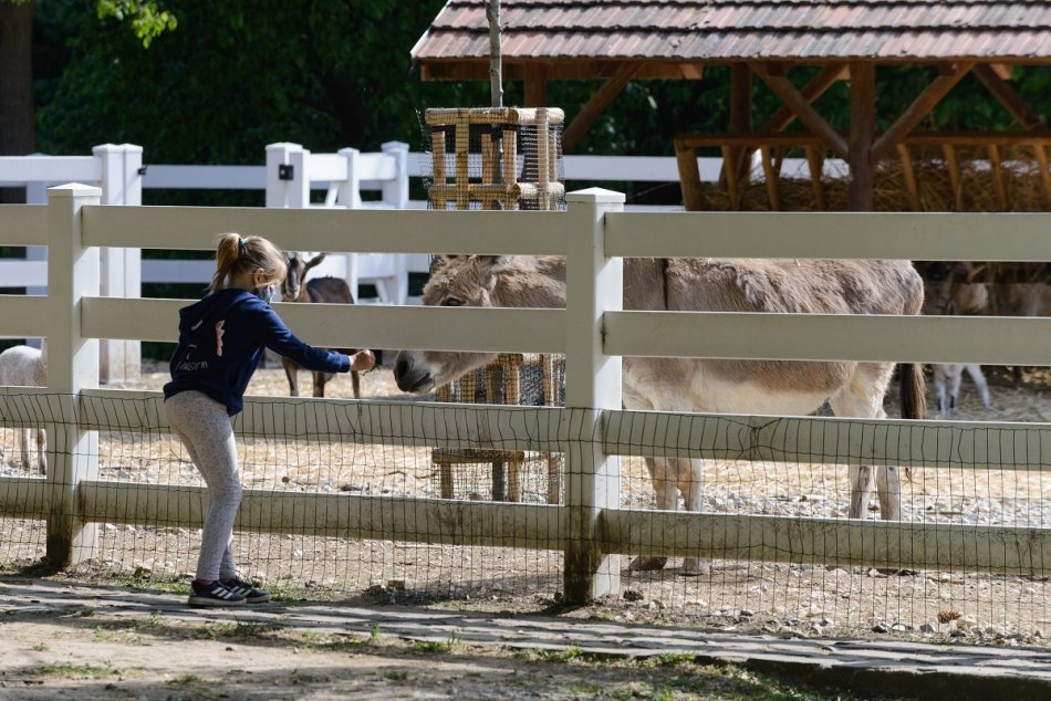 Mestský park v Nitre počas pandémie koronavírusu