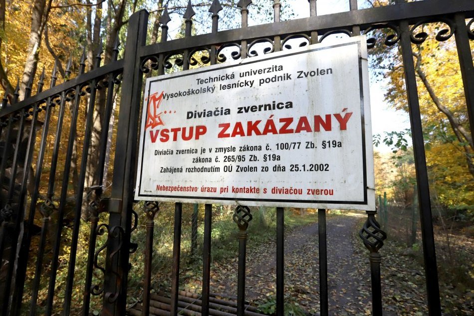 V OBRAZOCH: Diviačia zvernica Bieň pri Zvolene