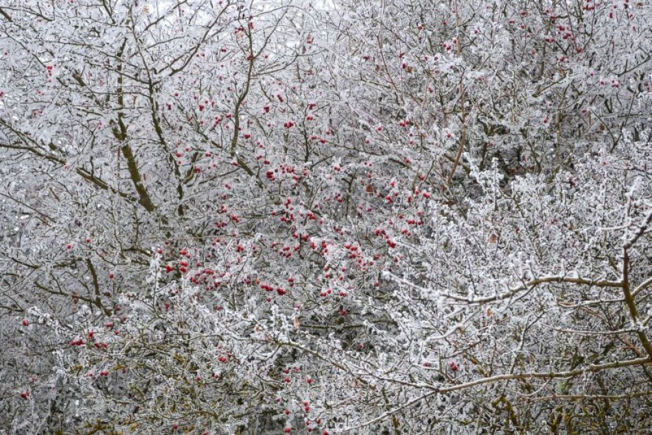 Obrazom: Mrazivé zábery zo Silice a jej okolia