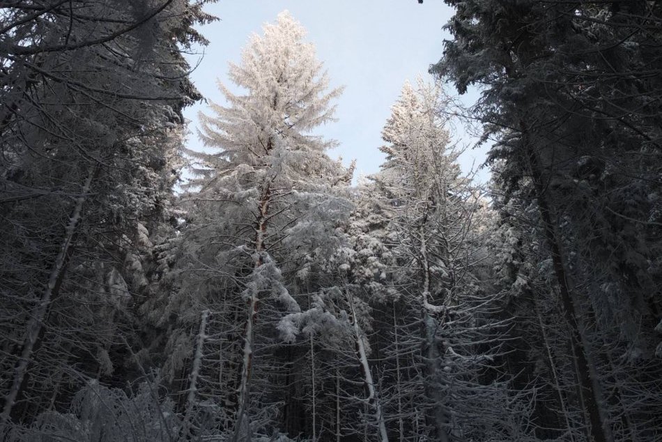 Obrazom: Krásne FOTO z Volovca