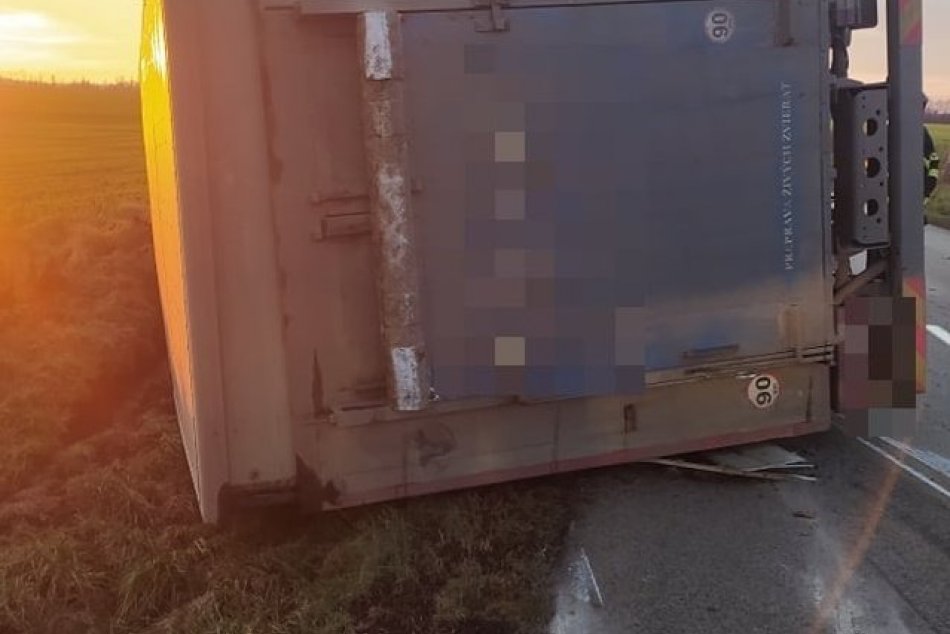 Prevrátil sa kamión, ktorý prevážal ošípané