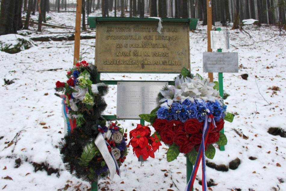 V OBRAZOCH: Trosky lietadla v lese nad Malachovom