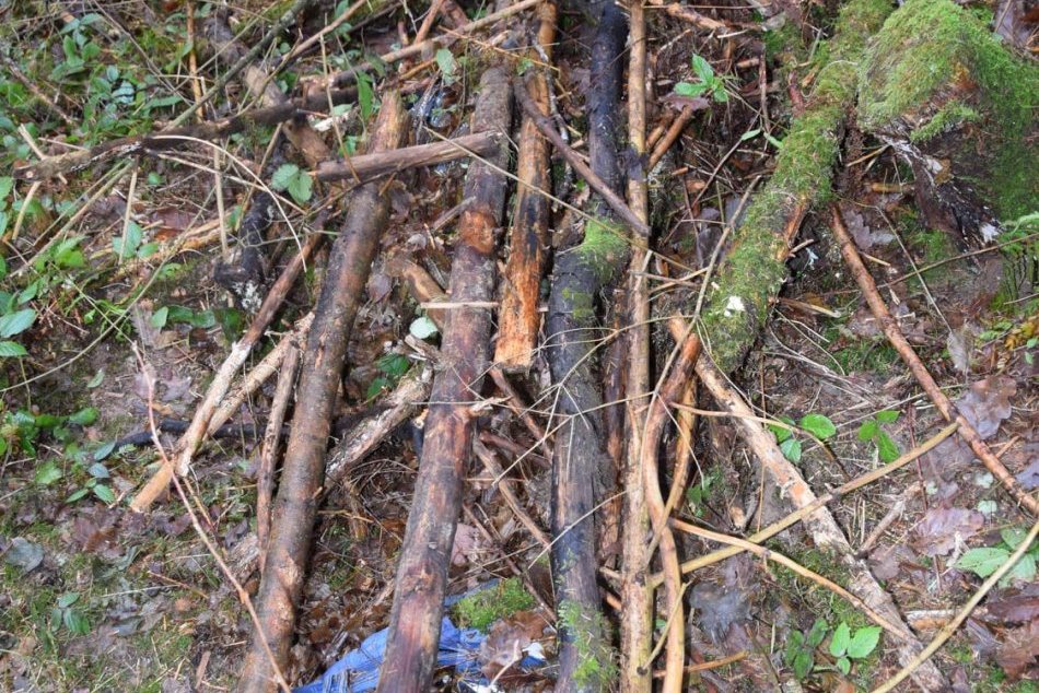 V OBRAZOCH: Zábery z miesta, na ktorom našli zavraždeného Bystričana