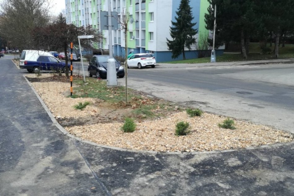 V OBRAZOCH: Na Tatranskej ulici prebehla výsadba