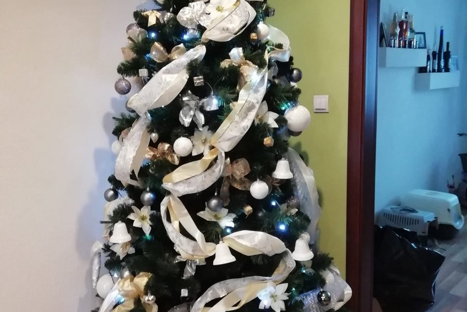 Veľká GALÉRIA ružomberských stromčekov v roku 2020