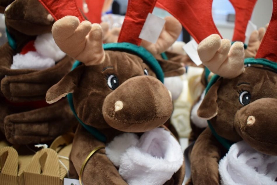 OBRAZOM: Prekvapenie pre pacientov v nemocnici