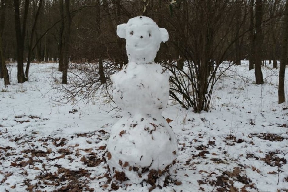 Snehuliaci v Petržalke