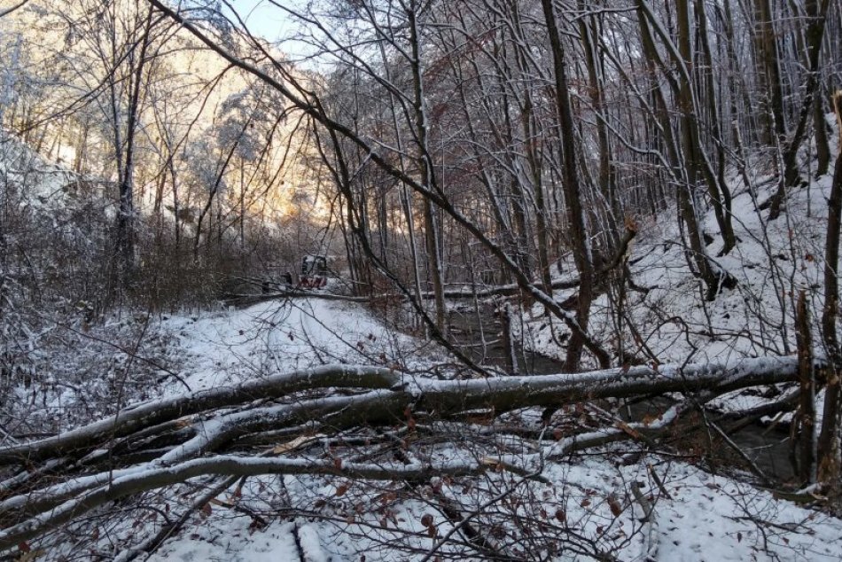 Detská železnica po snehovej kalamite