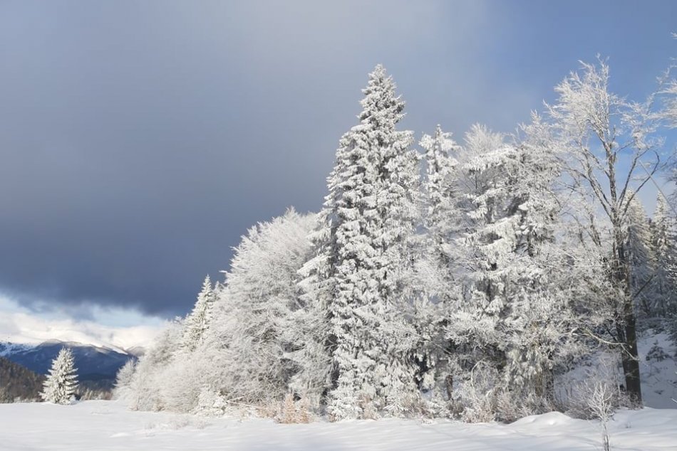 V OBRAZOCH: Úprava bežkárskej trate Šachtičky – Donovaly