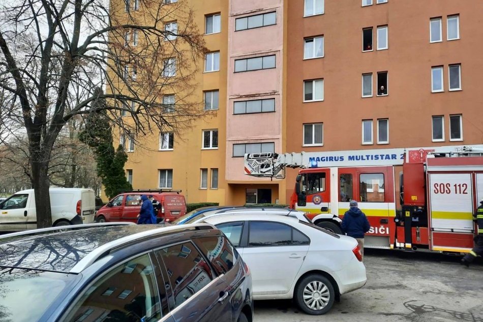 Záchrana psov zo zaprataného bytu v Ružinove