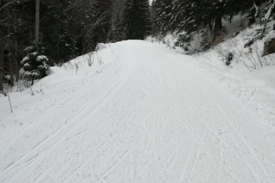 V OBRAZOCH: Utorková úprava bežeckých tratí