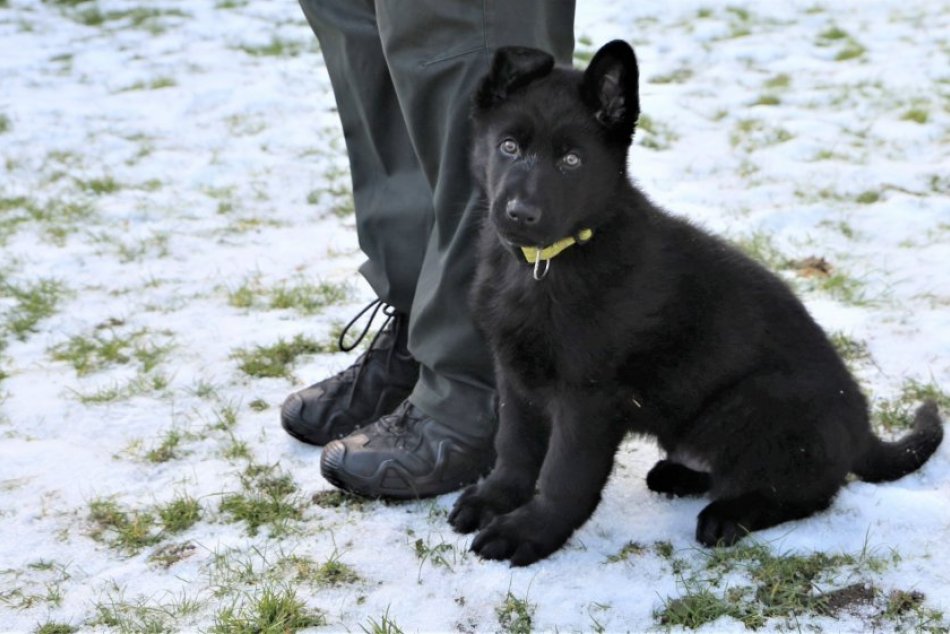 Policajti majú nového kolegu