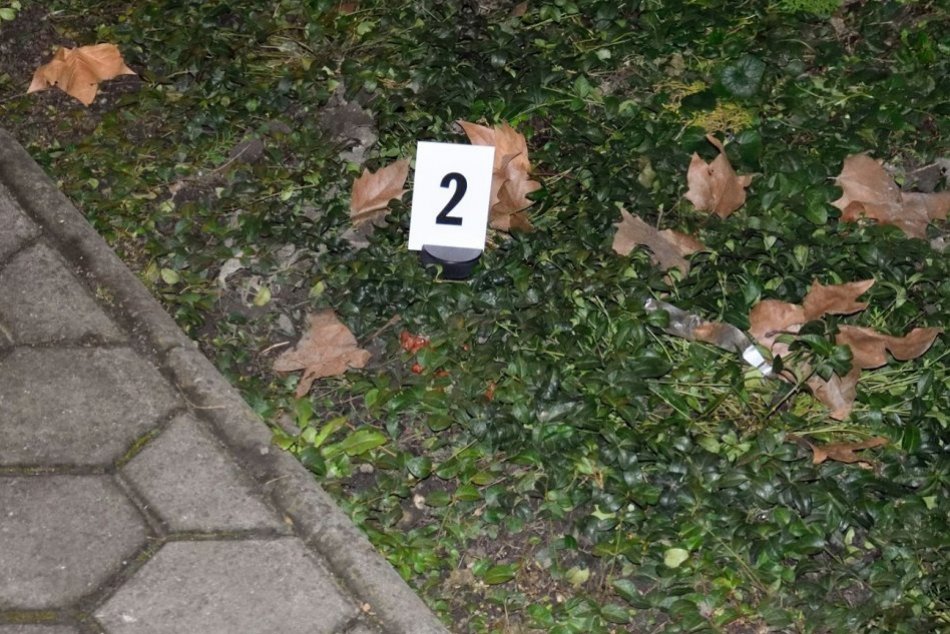 Klince ukryté v kúskoch klobás