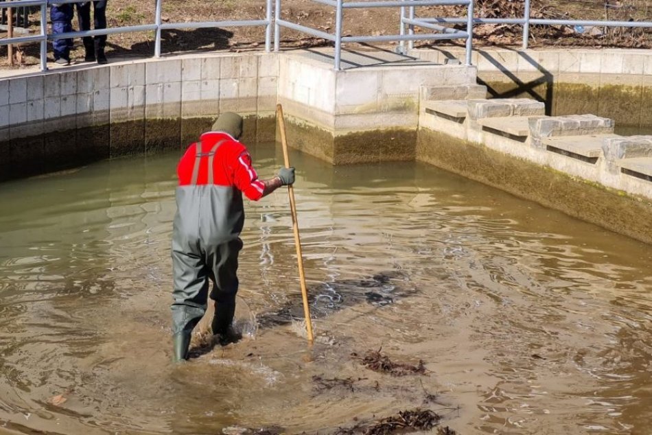 Vypúšťanie Mlynského náhonu