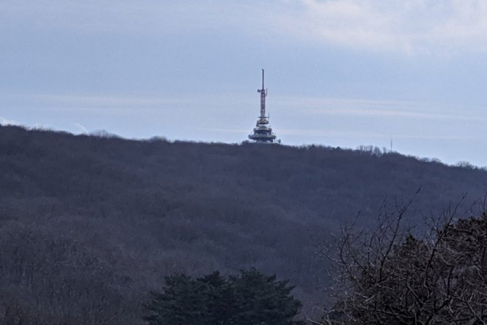 V OBRAZOCH: Rozkvitnuté vzácne druhy rastlín na Zobore