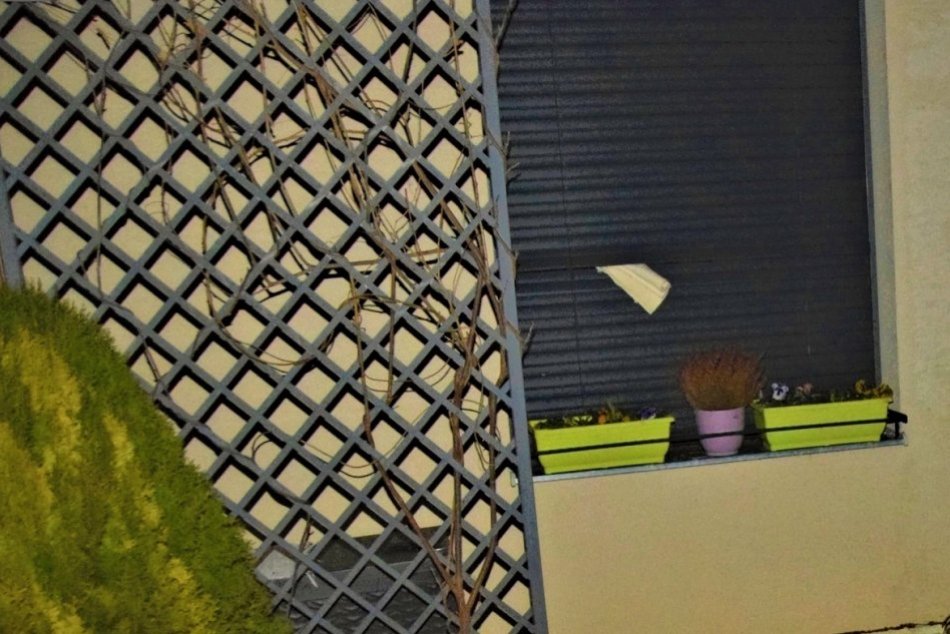 FOTO: Za kúsok koberca medzi žalúziami hrozí recidivistovi päťročné väzenie