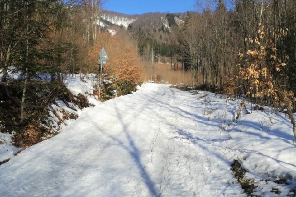 V OBRAZOCH: V okolí bežkárskych tratí sa začne s jarnou ťažbou dreva