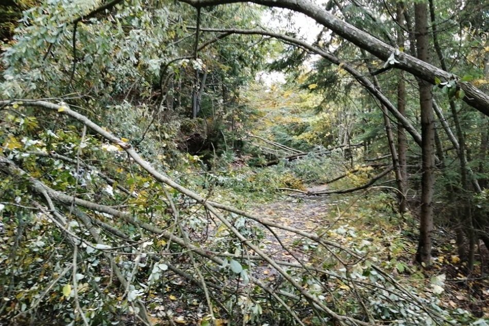 V OBRAZOCH: Bežkárska sezóna na tratiach v Kremnických vrchoch