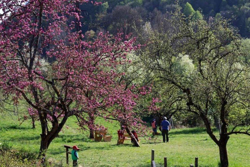 V OBRAZOCH: Arborétum na Banisku