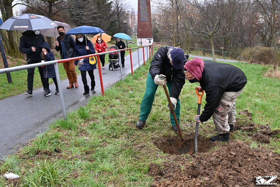 Obrazom: Na Sekčove pribudli nové stromy