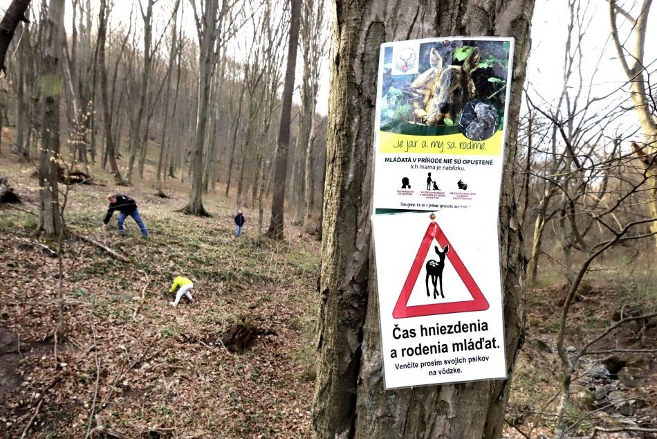 V OBRAZOCH: Územie národnej prírodnej rezervácie Boky čelí náporu návštevníkov