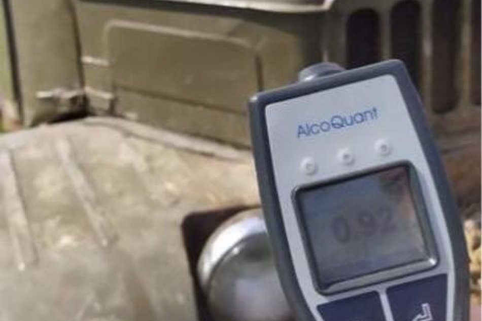 V OBRAZOCH: Vodič našiel skratku z lesa do policajnej cely