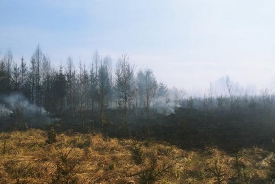 Do akcie bolo privolaných množstvo hasičov