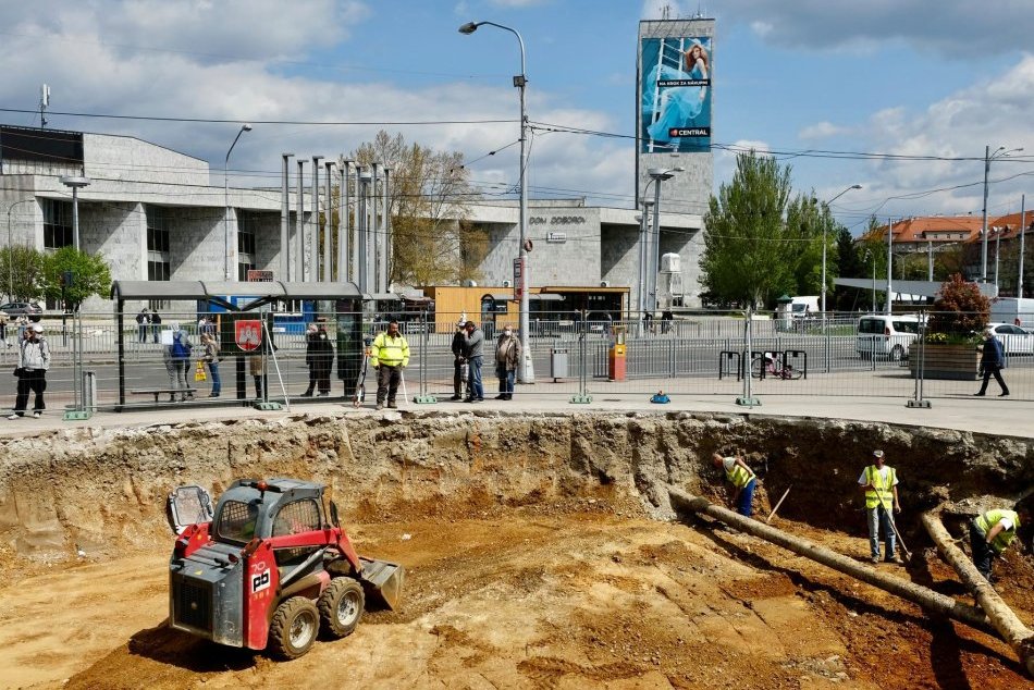 Platany na Trnavskom mýte - osádzanie