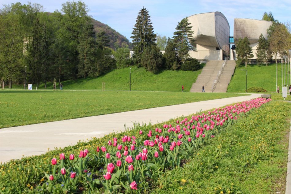V OBRAZOCH: Bystricu rozžiarili jarné kvetinové záhony