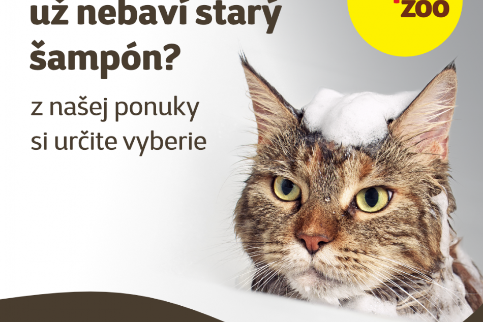 Matovič terčom vtipov