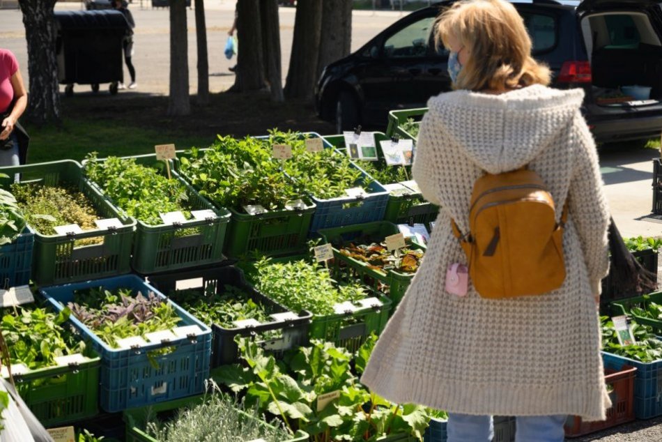 OBRAZOM: Gardenia 2021 na nitrianskom výstavisku