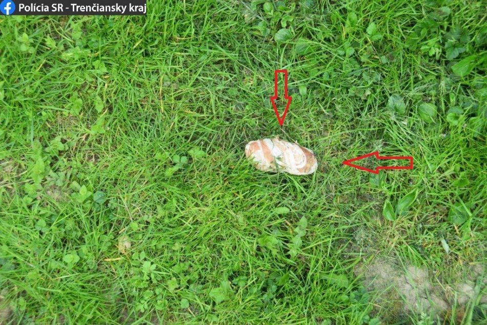FOTO: Návnada, akou otrávili psa v okrese Trenčín