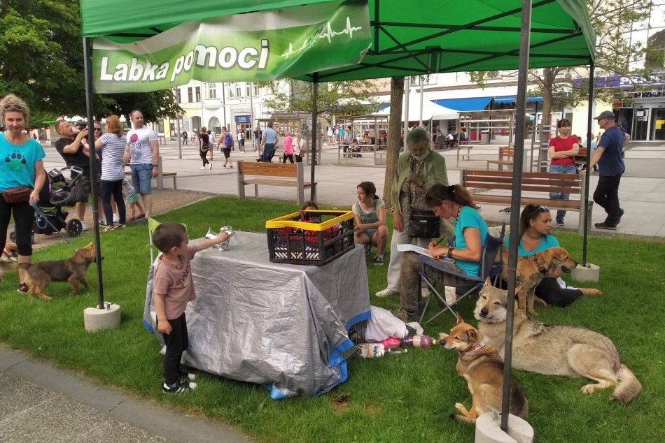 V OBRAZOCH: Zvolen zažil Korzo v znamení zvierat