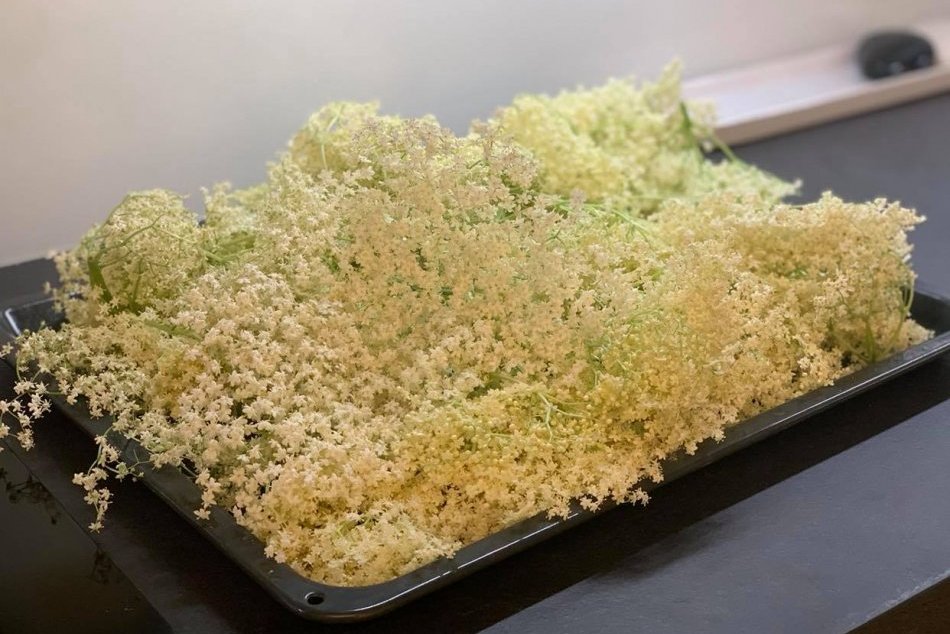 Sezóna bazy začala: Príprava sirupu na FOTKÁCH