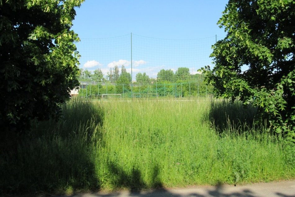 Objektívom: Prešovčania si "užívajú" trávnaté pralesy